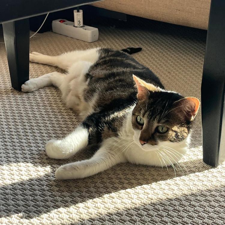 Photo de Mélodie